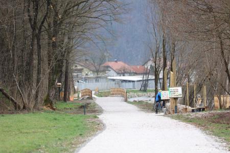 Z zasaditvijo dreves smo uradno odprli kolesarsko povezavo Kamnik–Godič (88)